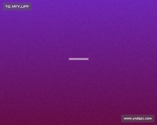 排球赛事法语词汇与实战应用指南